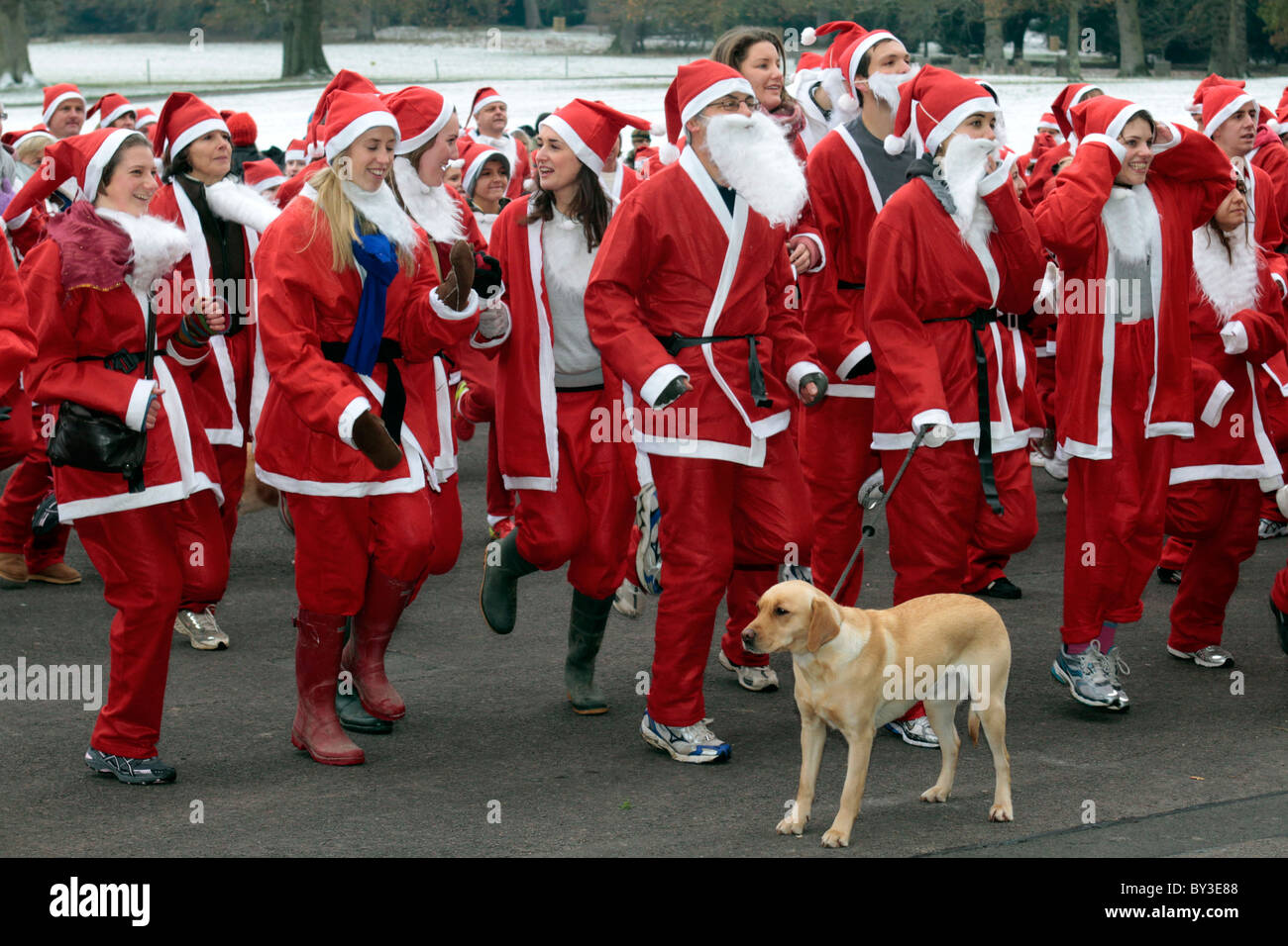 Santa divertente correre in aiuto del sud le lesioni spinali fiducia a Longleat Station Wagon Foto Stock