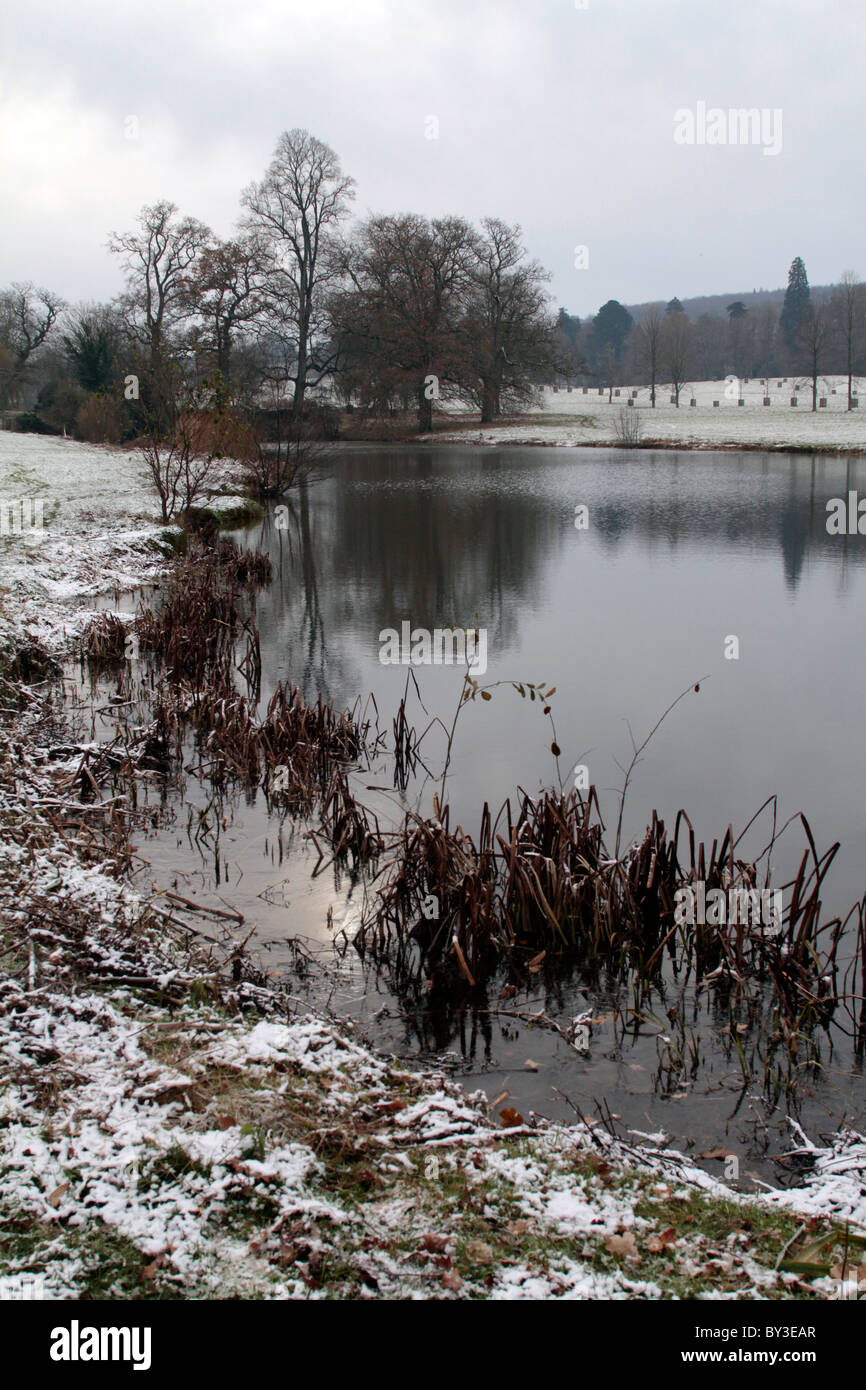 Gli inverni frost Longleat Estate, Wiltshire, Inghilterra Foto Stock