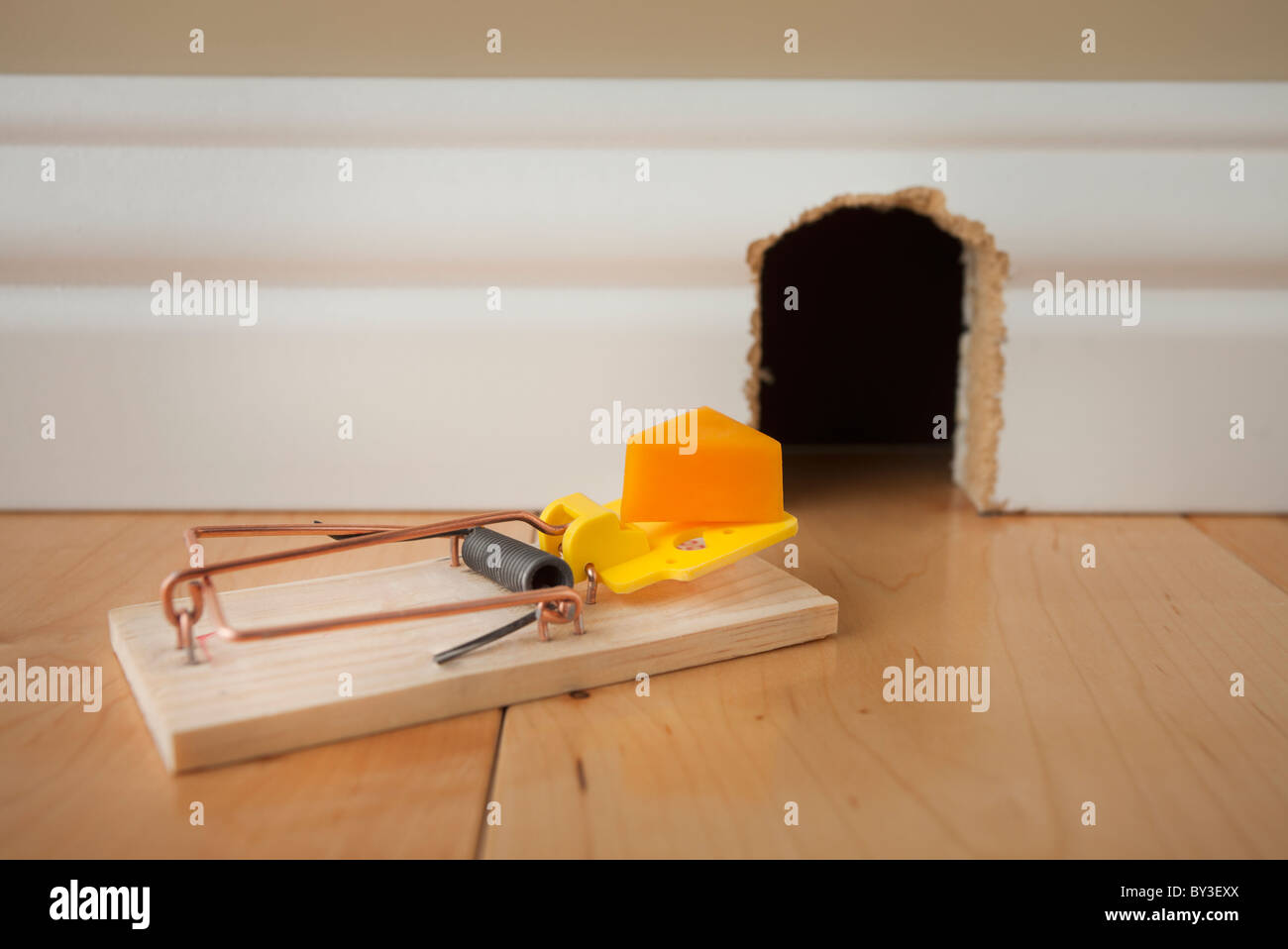 Mousetrap con formaggio nella parte anteriore del foro del mouse Foto Stock