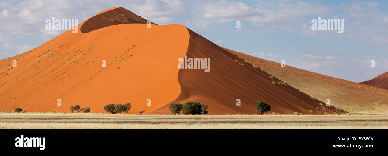Panorama paesaggio di un deserto rosso duna di sabbia, Sossusvlei, Namibia, Sud Africa Foto Stock