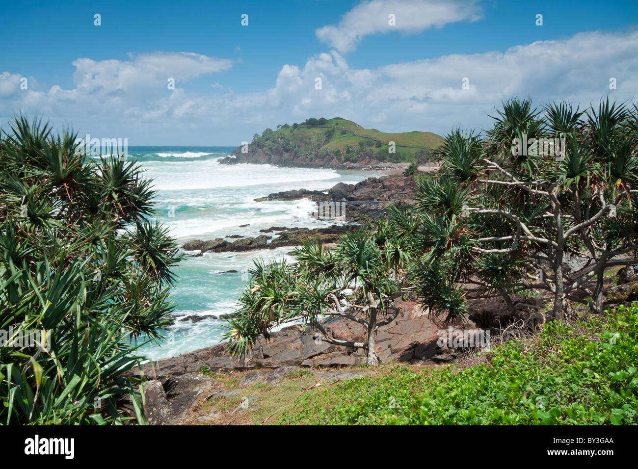 Australian seascape durante il giorno con alberi nativi in primo piano Foto Stock