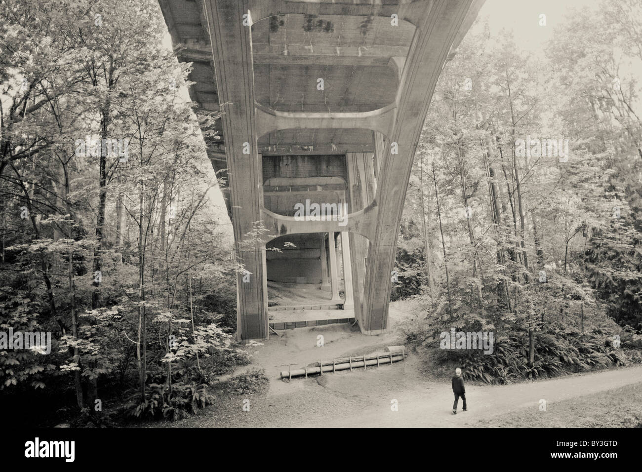 Un senzatetto giovane adulto passeggiate attraverso un parco a Seattle il quartiere universitario il 13 agosto, 2010 Foto Stock