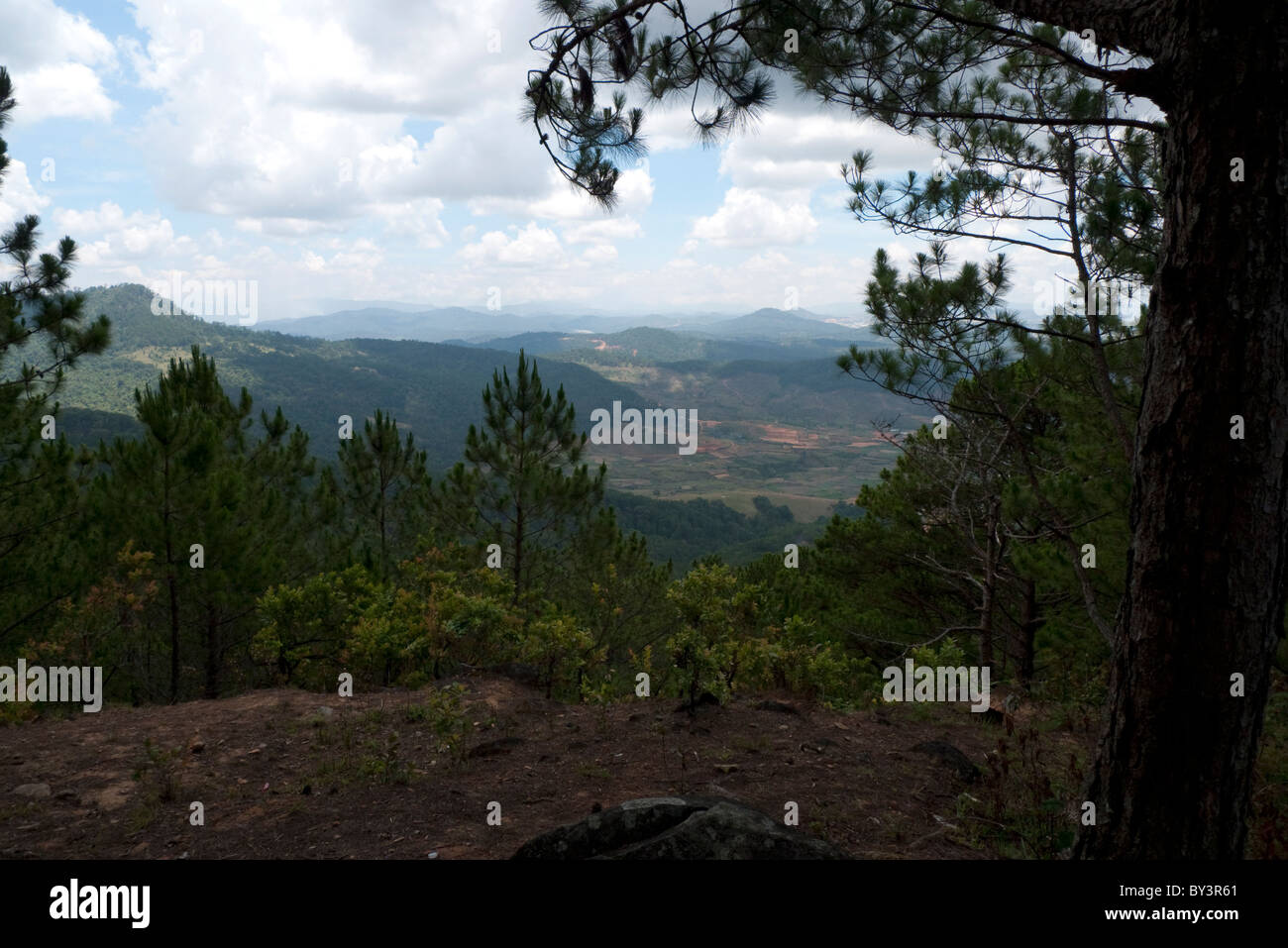 Tipico paesaggio nei pressi di Dalat, Highlands Centrali, Vietnam, Indocina, Asia sud-orientale, Asia Foto Stock