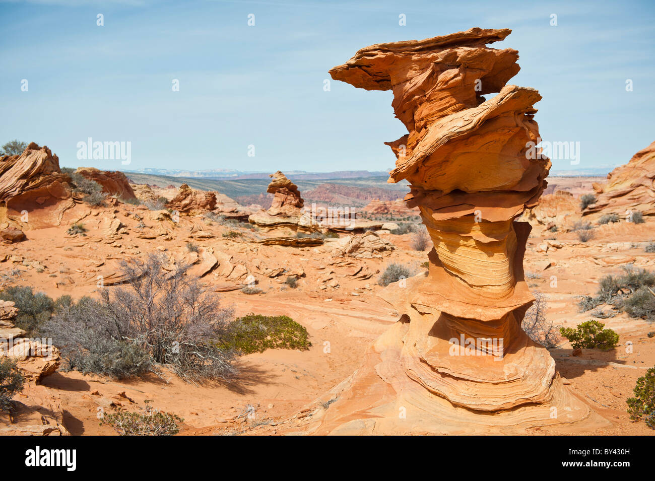 Coyote Buttes, Knab, Utah: una strana roccia arenaria formazione conosciuto localmente come 'Salvador rock Dali'. Foto Stock