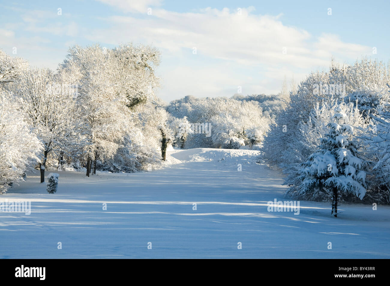 Vista del paesaggio di una neve laden campo da golf fairway in inverno Foto Stock