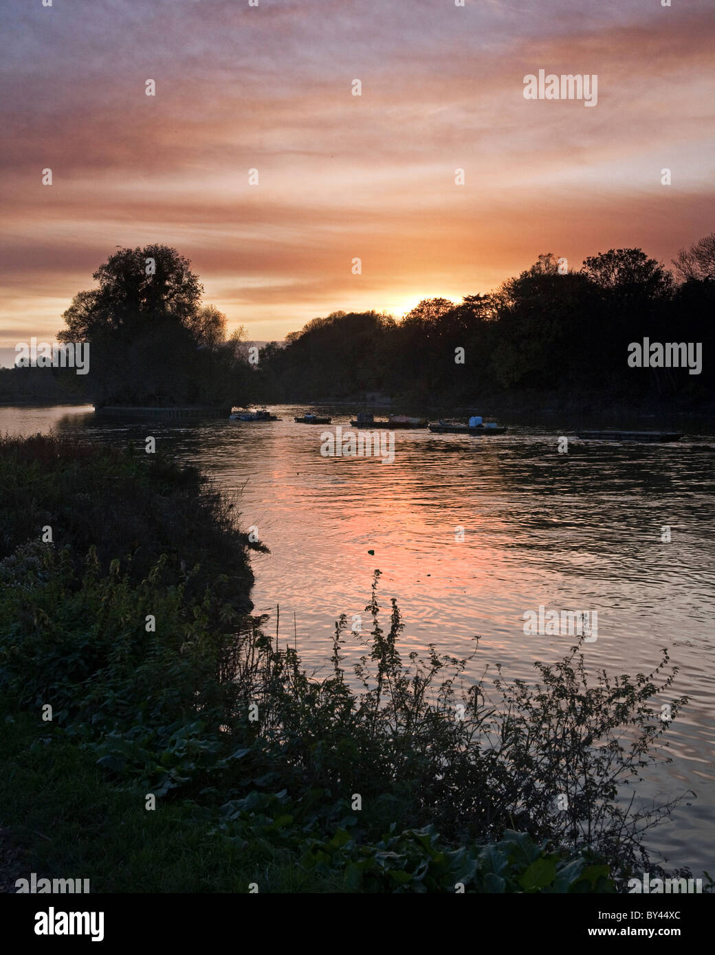 Il fiume il Tamigi a Richmond, Surrey alla periferia di Londra Foto Stock