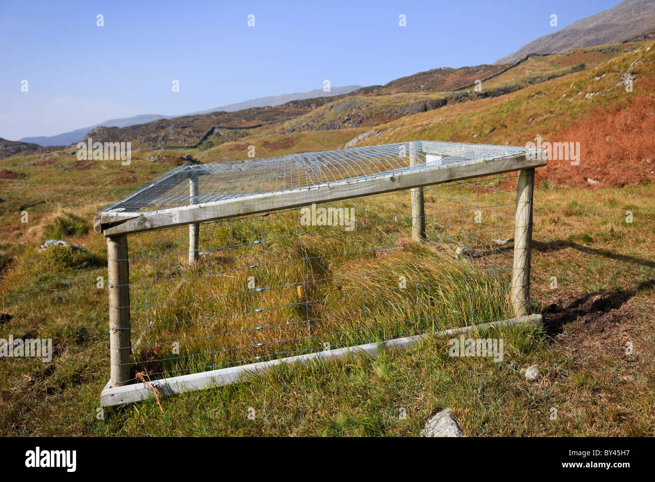 Parco Nazionale di Snowdonia, Galles del Nord, Regno Unito. Piccola area di prova dei pascoli recintati per proteggere dal pascolo l'habitat di montagna Foto Stock