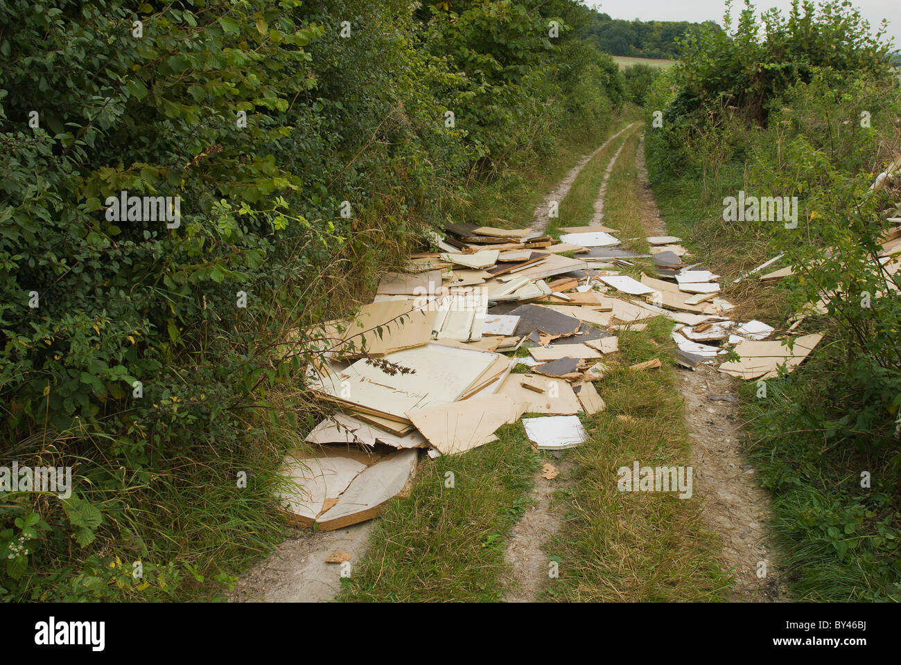 Volare il ribaltamento sul sentiero pubblico Kent Ightham Foto Stock
