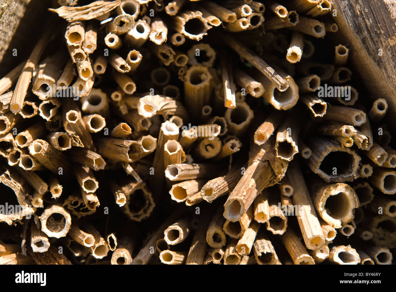 Mini bestia uomo fatto rifugio di habitat per la conservazione di aiuto di insetti invertebrati Foto Stock