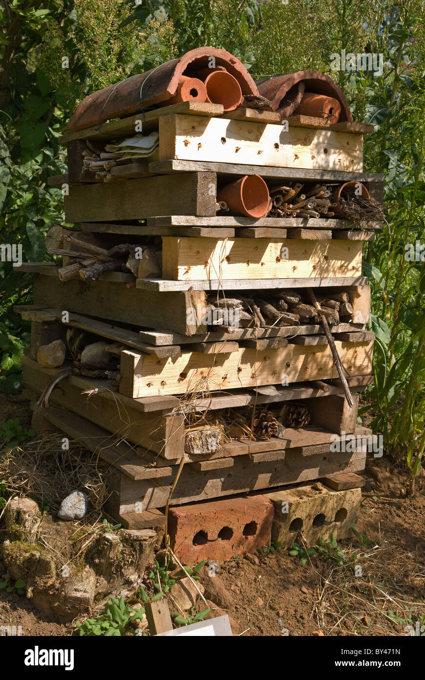 Mini bestia uomo fatto rifugio di habitat per la conservazione di aiuto di insetti invertebrati Foto Stock