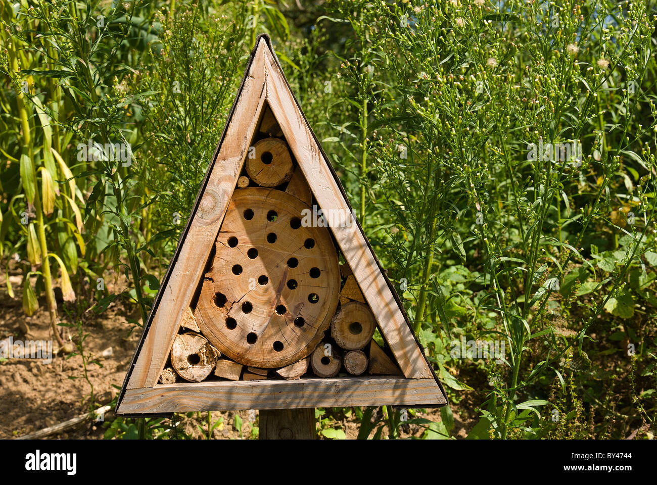 Mini bestia uomo fatto rifugio di habitat per la conservazione di aiuto di insetti invertebrati Foto Stock