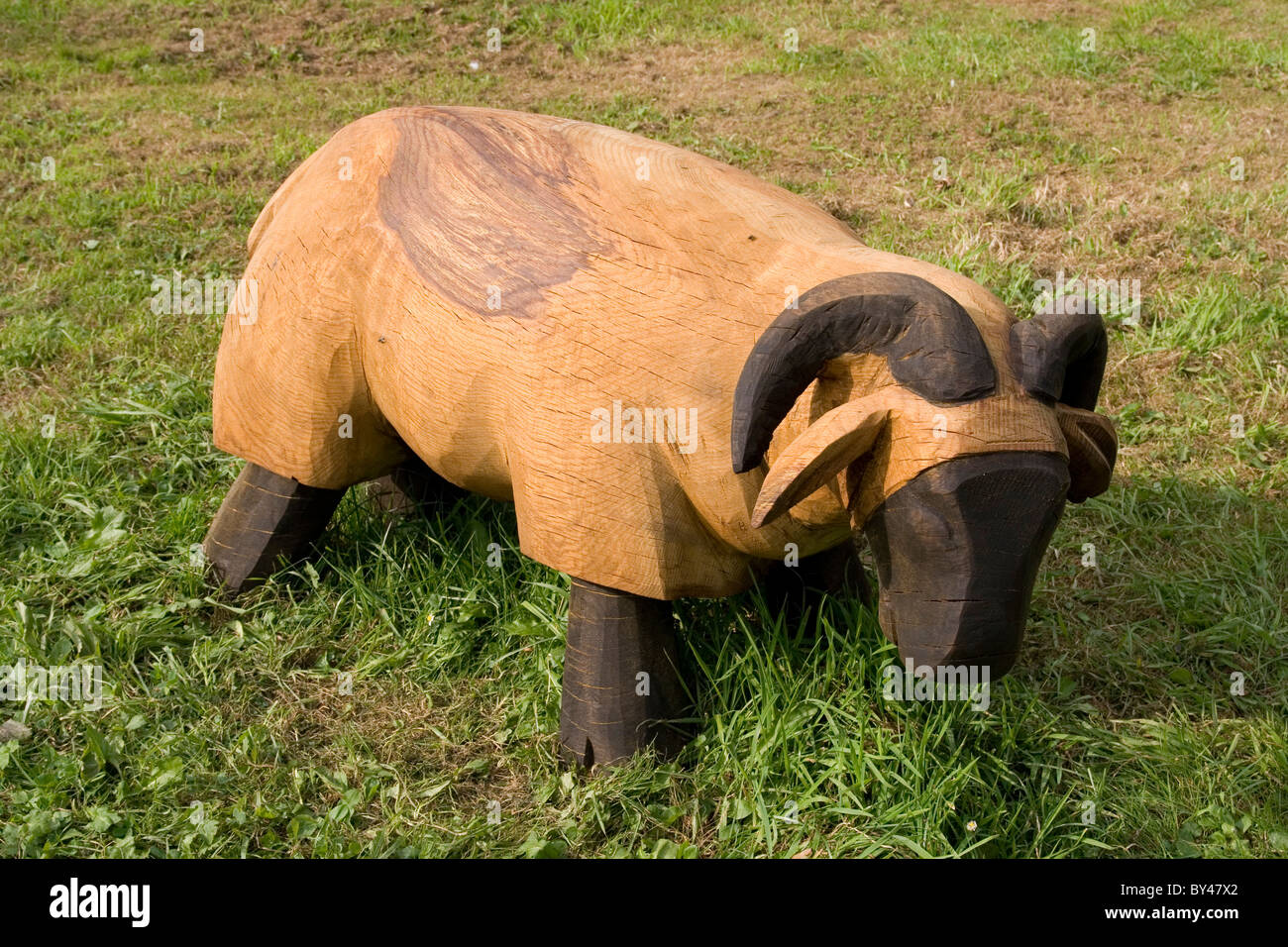 Primo piano della pecora di legno con il lato nero e gambe, mangiare erba. Foto Stock
