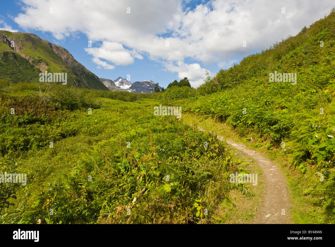 Perso il Lago Trail nel Kenai Mountains sulla Penisola di Kenai vicino a Seward Alaska Foto Stock
