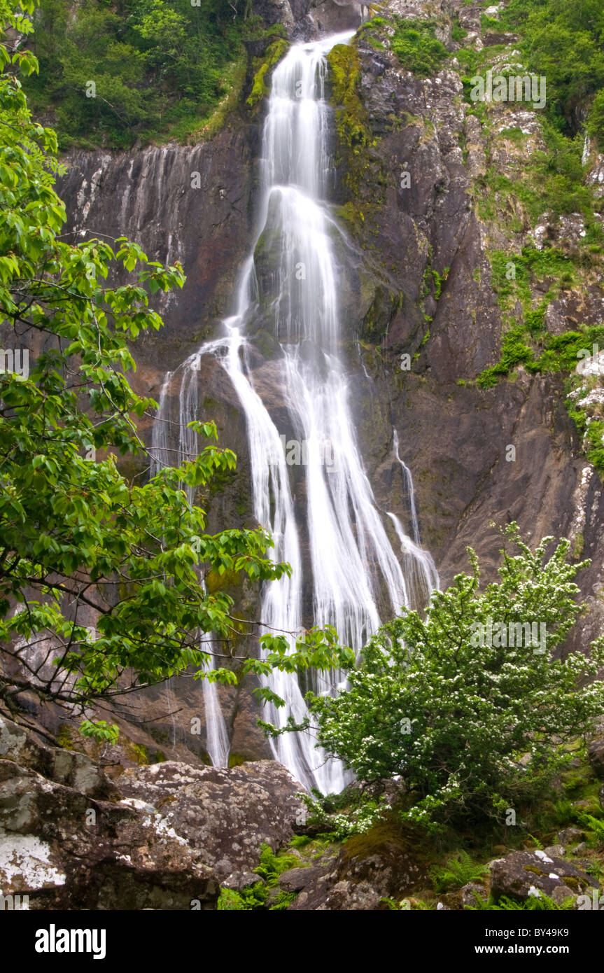 Aber Falls, nei pressi del villaggio di Abergwyngregyn, Manchester, Gwynedd, Galles del Nord, Regno Unito Foto Stock