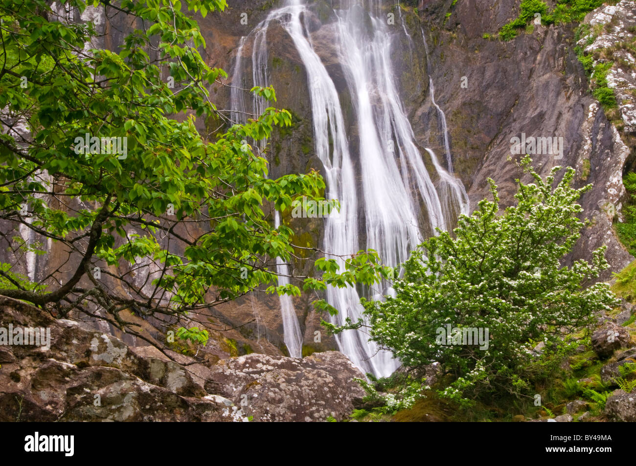 Aber Falls, nei pressi del villaggio di Abergwyngregyn, Manchester, Gwynedd, Galles del Nord, Regno Unito Foto Stock