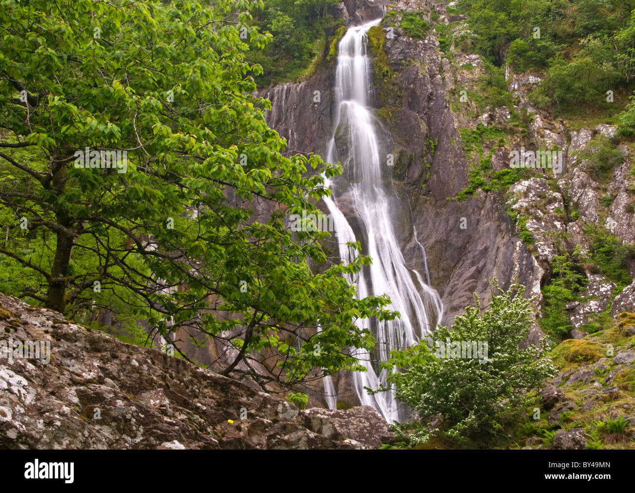 Aber Falls, nei pressi del villaggio di Abergwyngregyn, Manchester, Gwynedd, Galles del Nord, Regno Unito Foto Stock