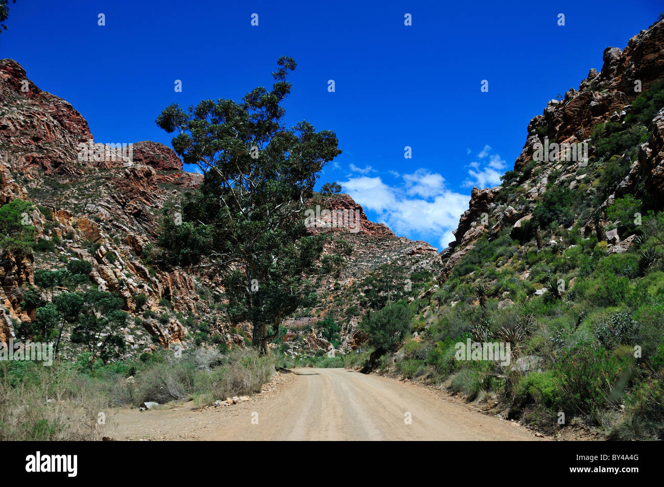 Strada di Montagna al Swartberg Pass. Prince Albert, Sud Africa. Foto Stock