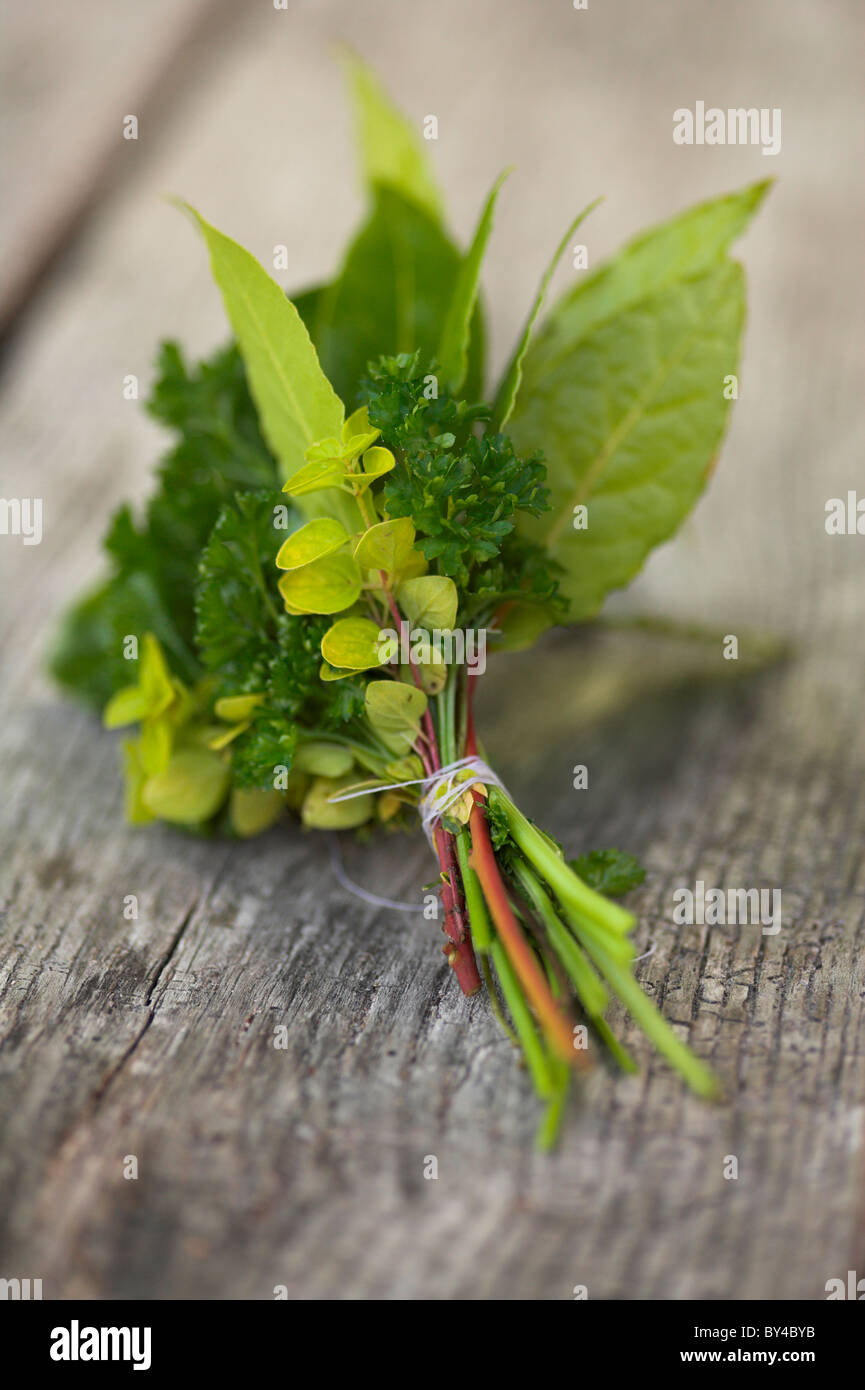 Herb tirante sul tavolo di legno Foto Stock