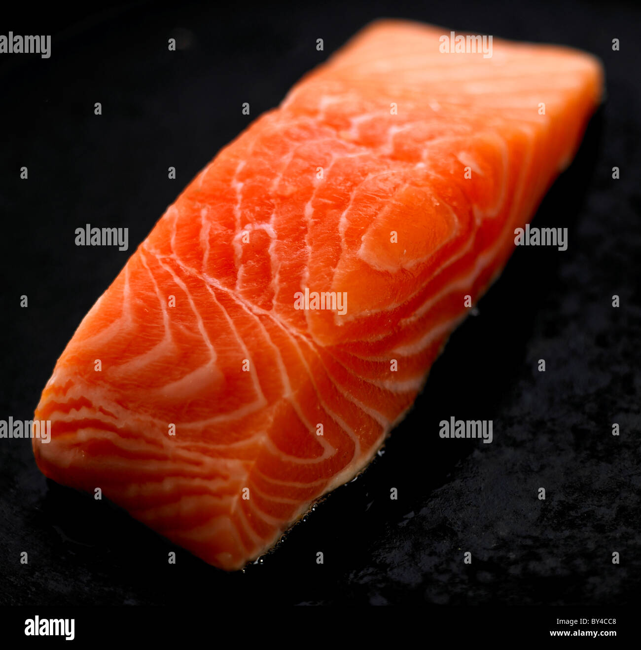 Di filetto di salmone fresco Foto Stock