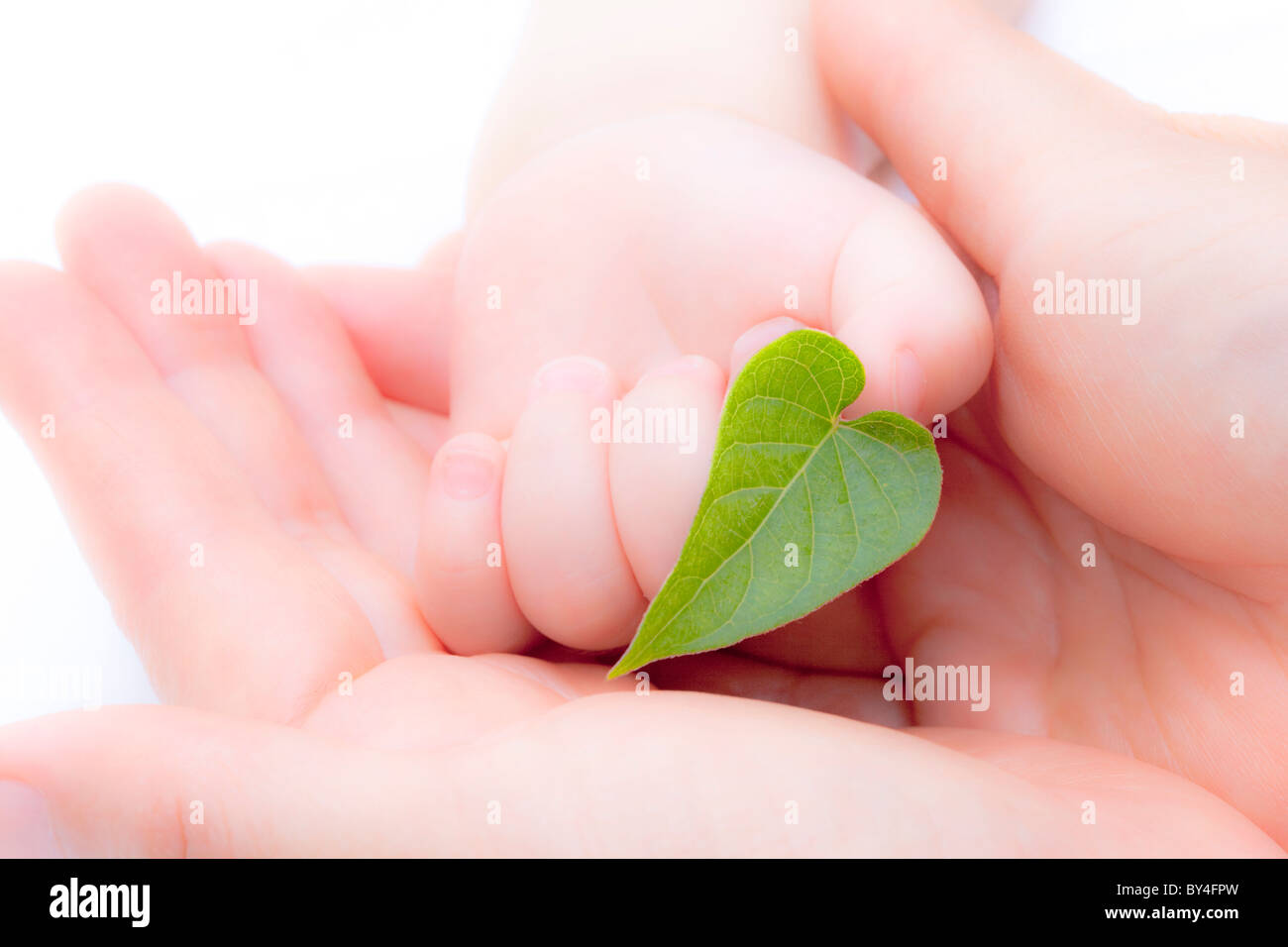 Madre di mani del bambino in mano azienda leaf Foto Stock