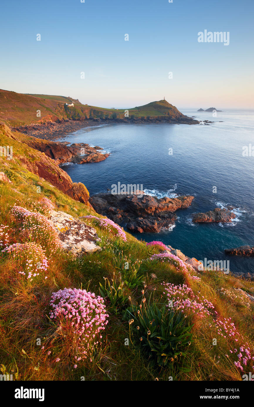 Inizio serata estati sul clifftops vicino a Cape Cornwall affacciato Kenidjack Foto Stock