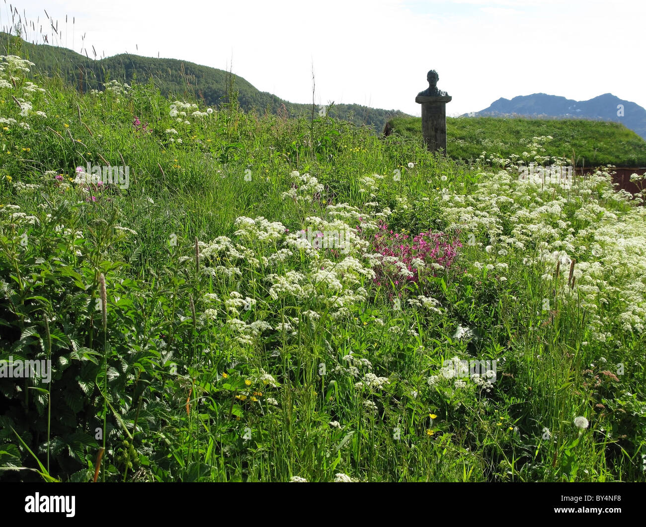 Busto di Knut Hamsun (1984) fra i fiori selvatici, Kjerringøy, a nord di Bodø, Nordland in Norvegia. Foto Stock