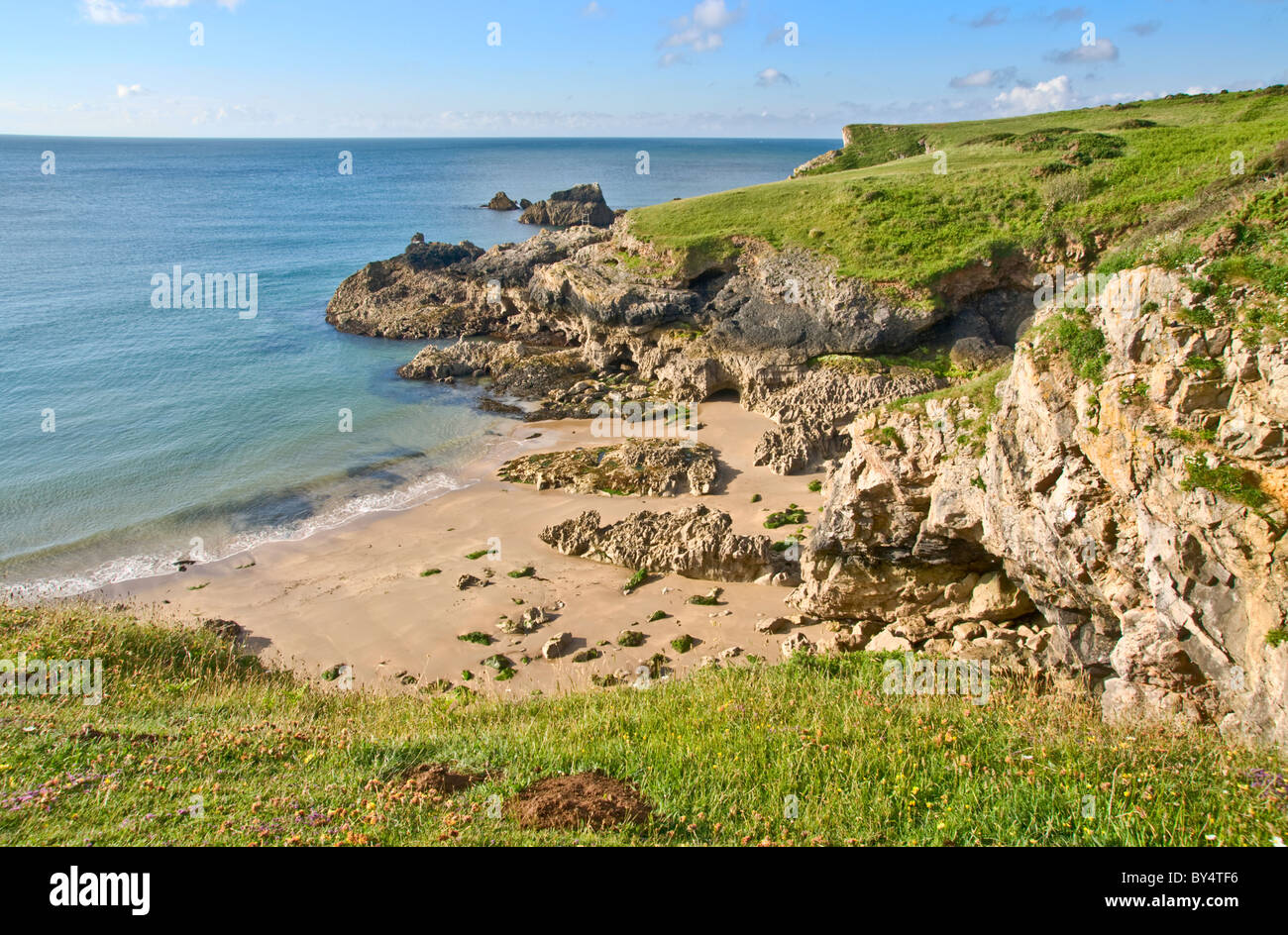 Una piccola insenatura di sabbia vicino ampia oasi a sud in Pembrokeshire Foto Stock