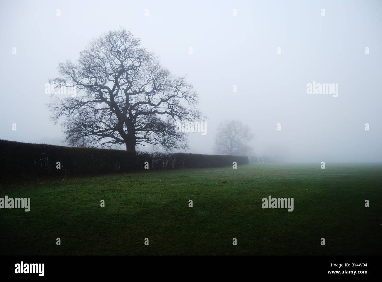 Scuola di parità nella nebbia Foto Stock