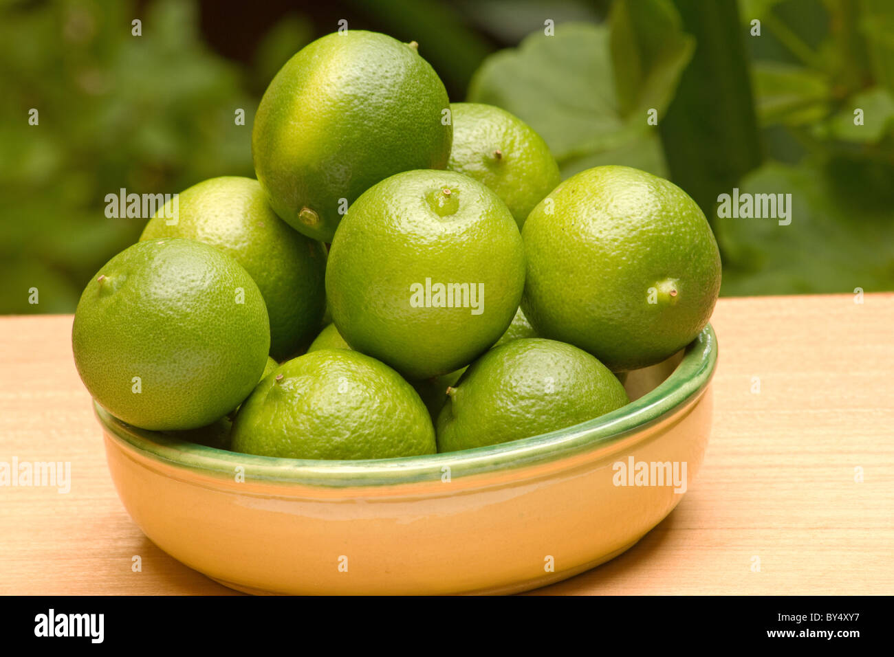 Close-up di limette (Citrus latifolia) in un recipiente di ceramica su sfondo naturale Foto Stock