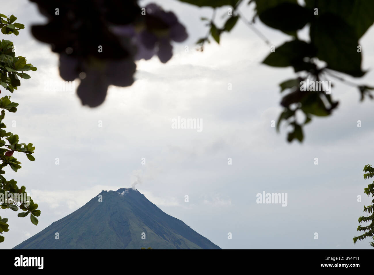 La foresta pluviale di telai di fogliame il fumo del Vulcano Arenal in La Fortuna de San Carlos, Alajuela in Costa Rica. Foto Stock