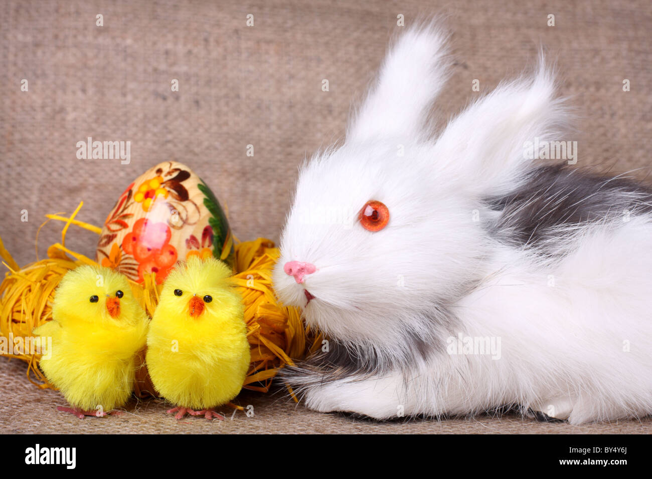 Simpatico coniglietto, uovo di pasqua e polli su saccheggi sullo sfondo Foto Stock