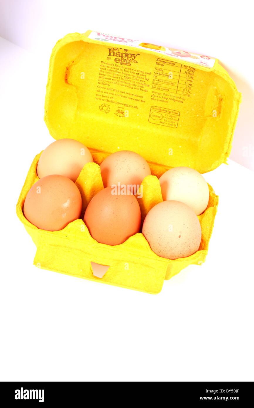 Sei uova scatolato in una scatola di cartone giallo tutti intervallo libero dalla felice compagnia di uovo Foto Stock