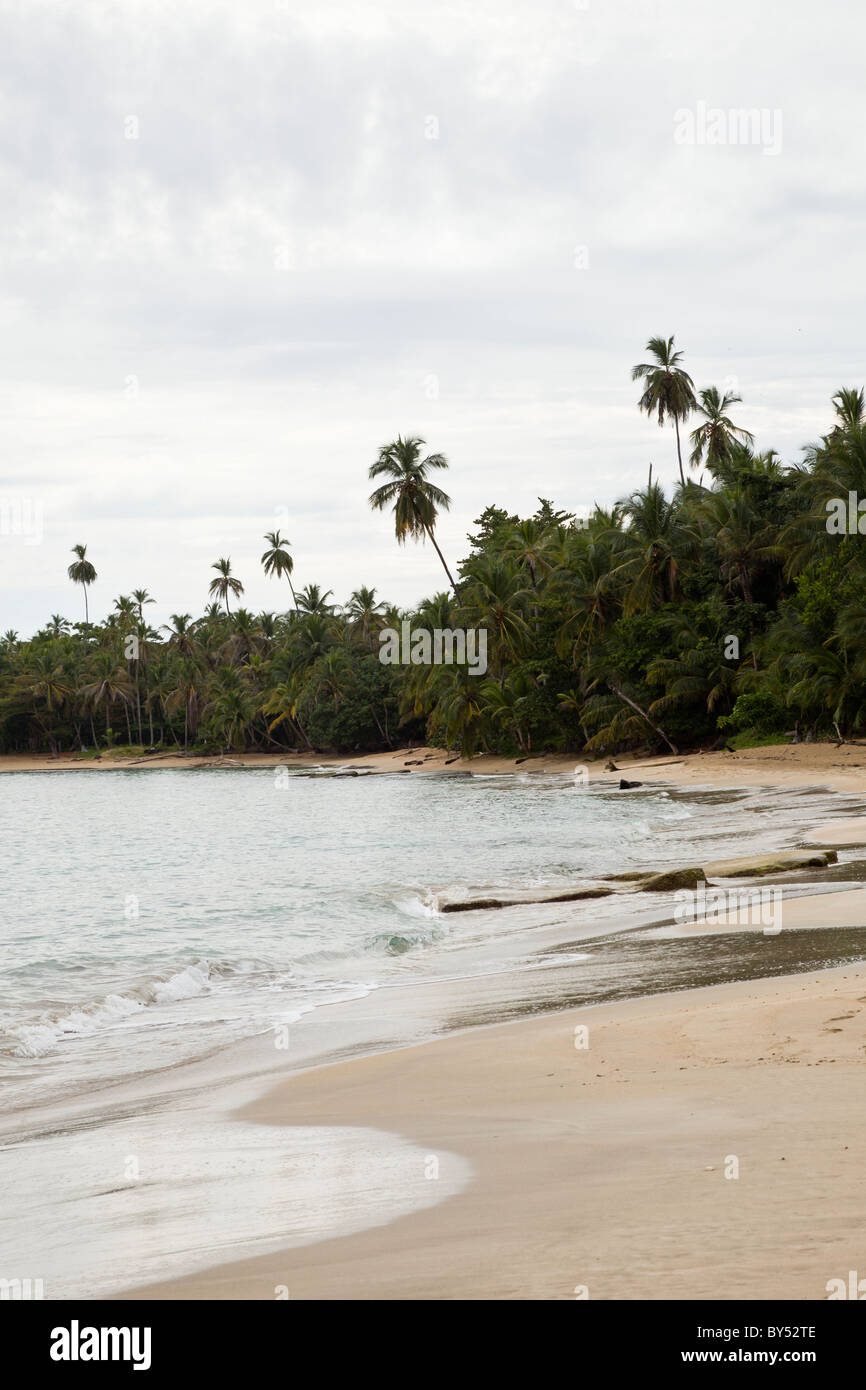 La foresta tropicale incontra il mare dei Caraibi a Gandoca-Manzanillo Wildlife Refuge in Limon Provincia, Costa Rica. Foto Stock