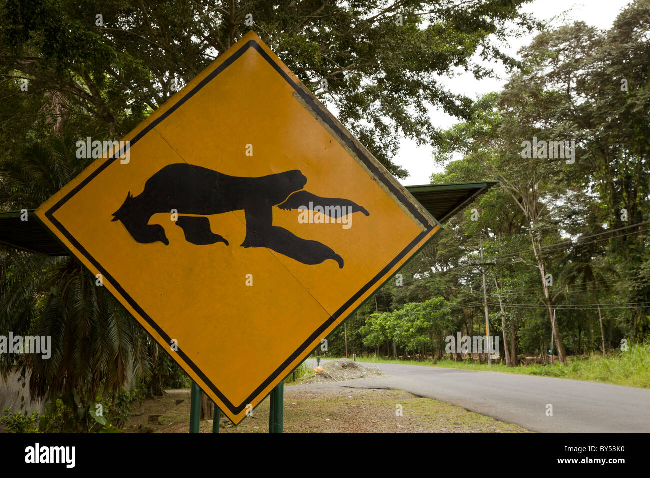 Bradipo attraversando segno lungo la Highway 36 al di fuori del Refugio Aviarios del Caribe Bradipo Santuario e centro di salvataggio in Cahuita, Costa Rica. Foto Stock