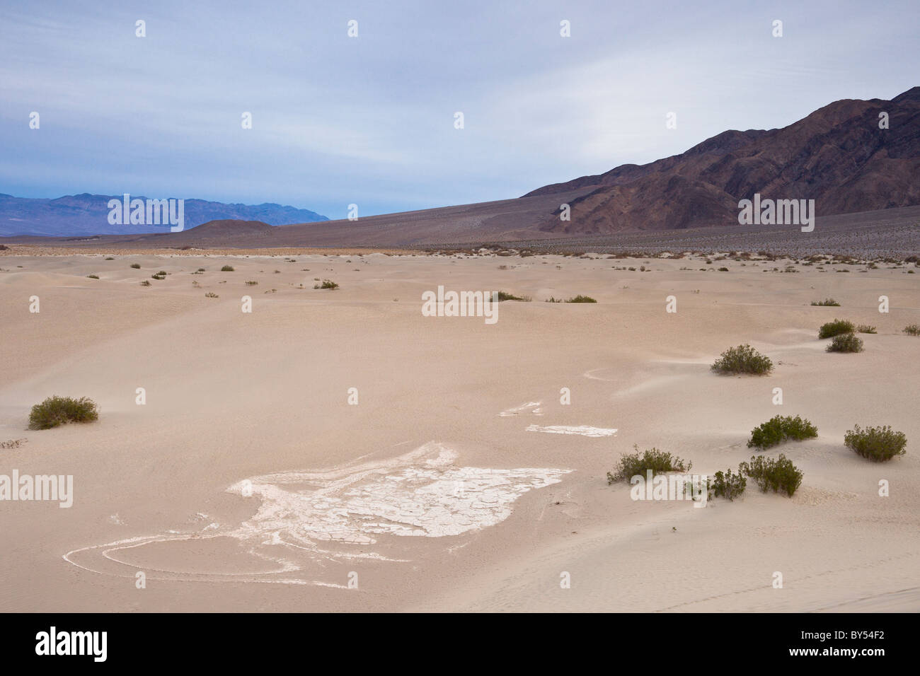 Fango essiccato crepe nelle antiche lakebed del Mesquite Flat dune di sabbia nel Parco Nazionale della Valle della Morte, California, Stati Uniti d'America. Foto Stock
