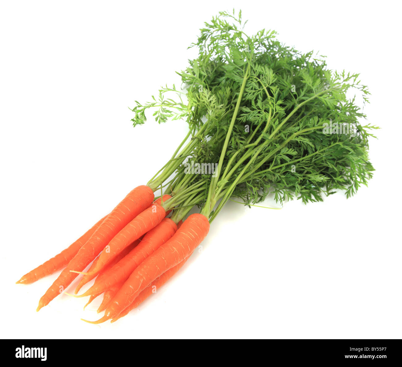 Le carote fresche. Tutto su sfondo bianco. Foto Stock