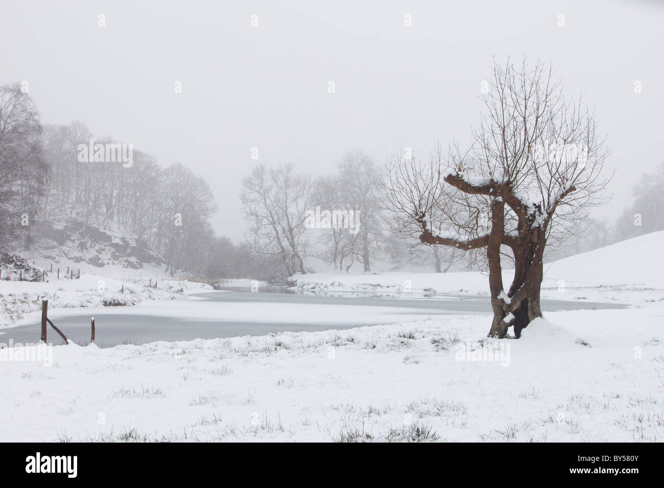Il fiume Brathay in Langdale in snow,Lake District, UK. Foto Stock