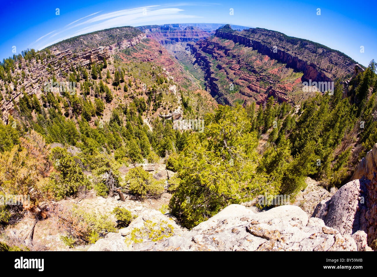 Parco Nazionale del Grand Canyon Foto Stock