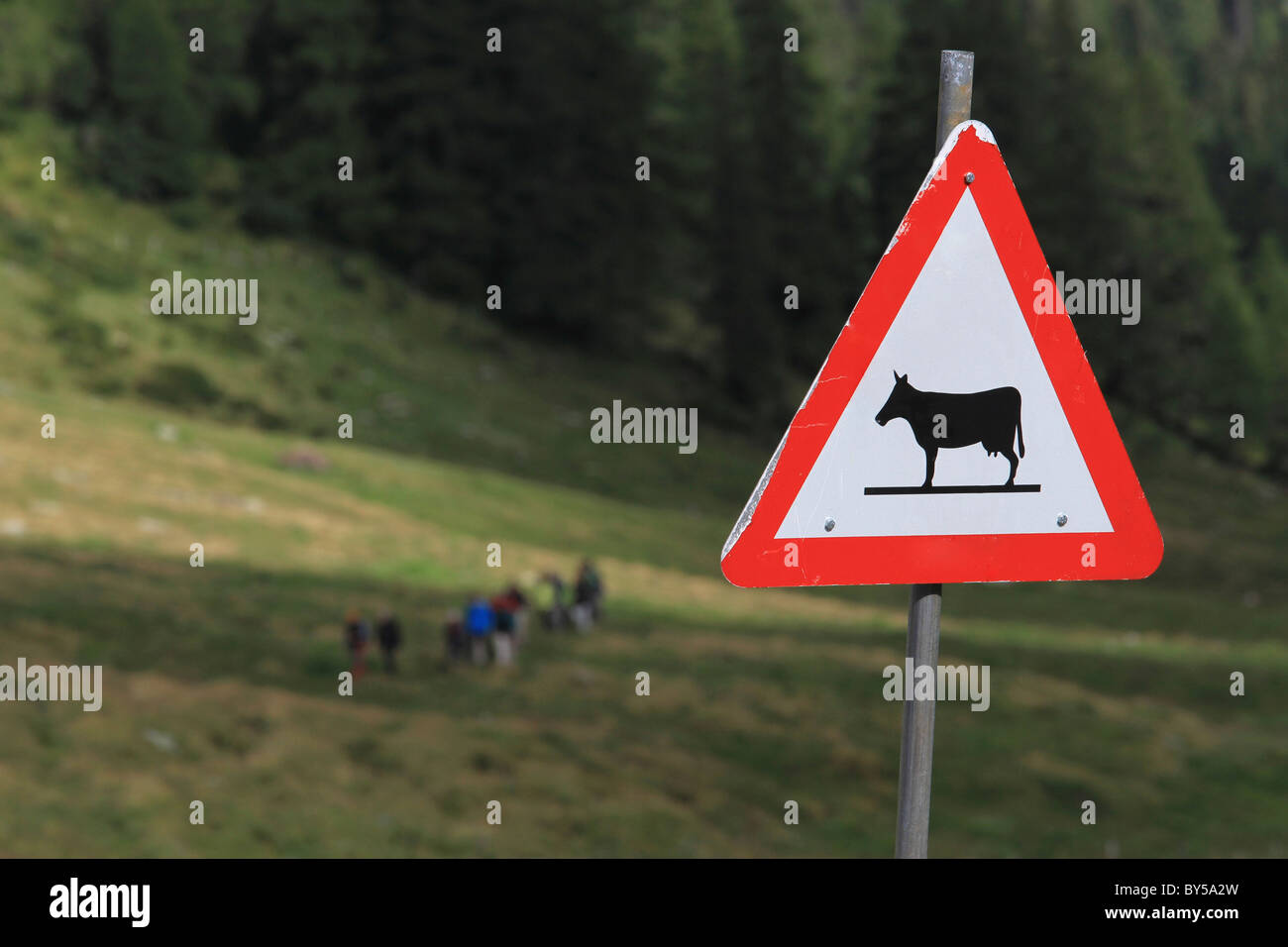 Un animale crossing segno di fronte a un paesaggio verde Foto Stock