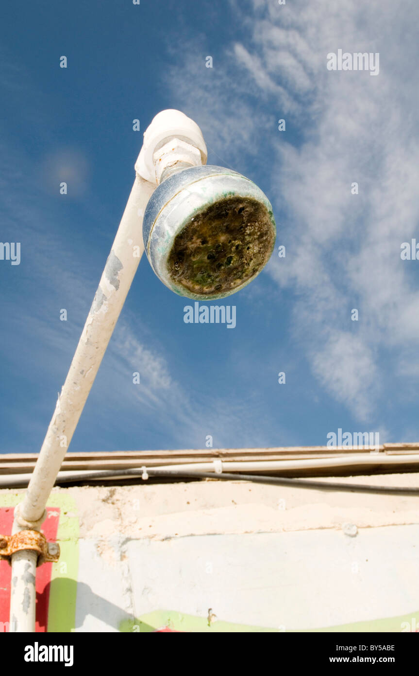 Doccia sporca teste testa soffione doccia a telefono batteri igienico antigienico terreno fertile per i germi Foto Stock