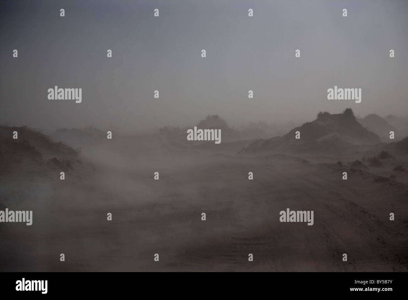 Vista di nebbia attraverso il deserto di Atacama, Cile Foto Stock
