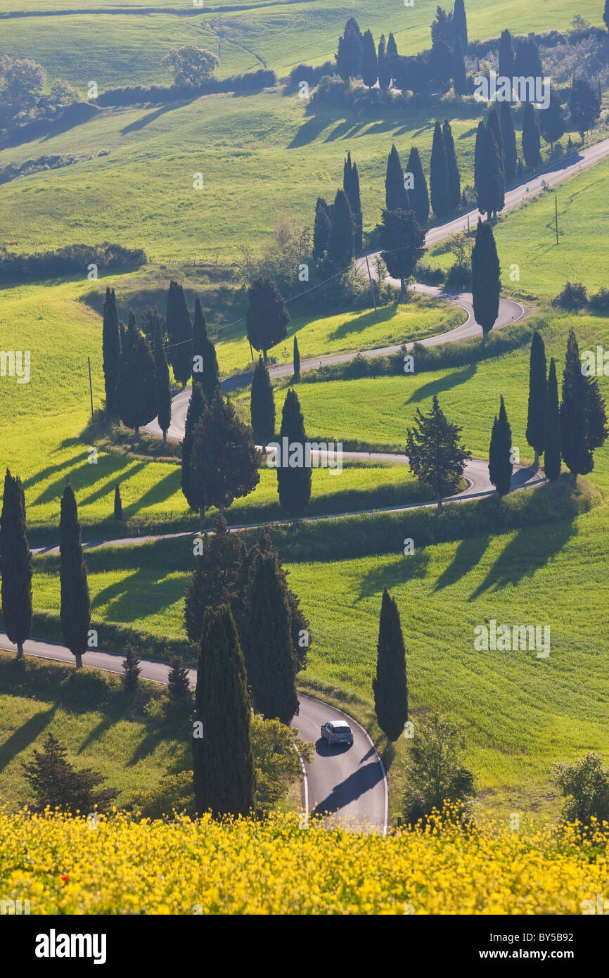 Winding Road, Monticchiello, Toscana, Italia Foto Stock