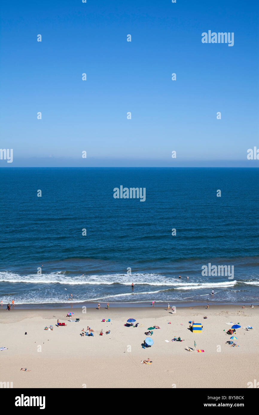 Lucertole da mare a Virginia Beach, Virginia, Stati Uniti d'America Foto Stock