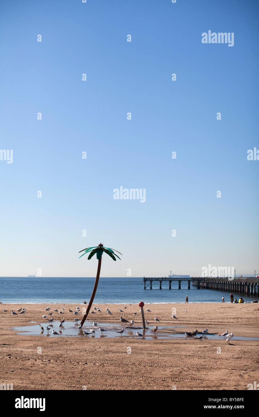 Flock of Seagulls, Virginia Beach, Virginia, Stati Uniti d'America Foto Stock