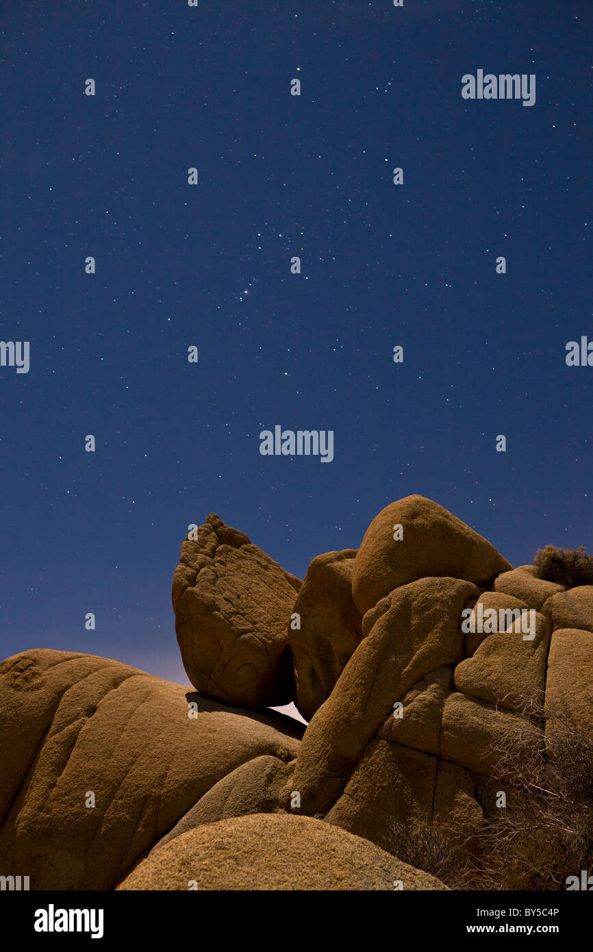 Moonlit paesaggio con cielo stellato e la costellazione di Orione a Joshua Tree National Park, California, Stati Uniti d'America. Foto Stock