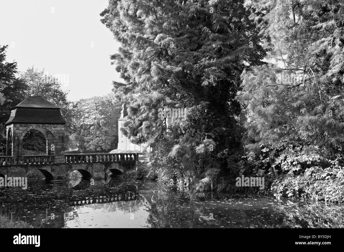 Foglie di autunno Foto Stock