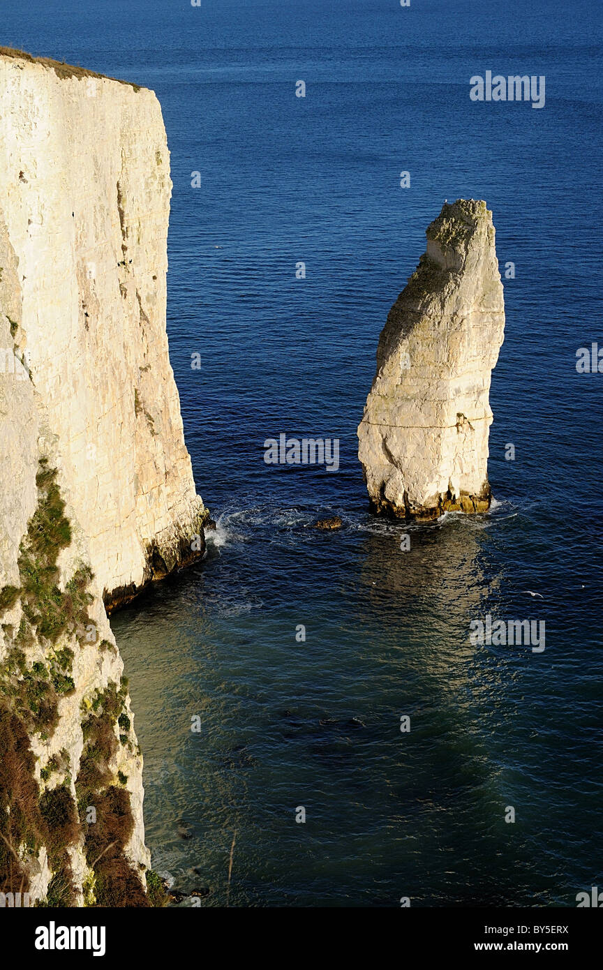 Immagine del Ballard Downs chalk cliffs e chalk pilastro Foto Stock
