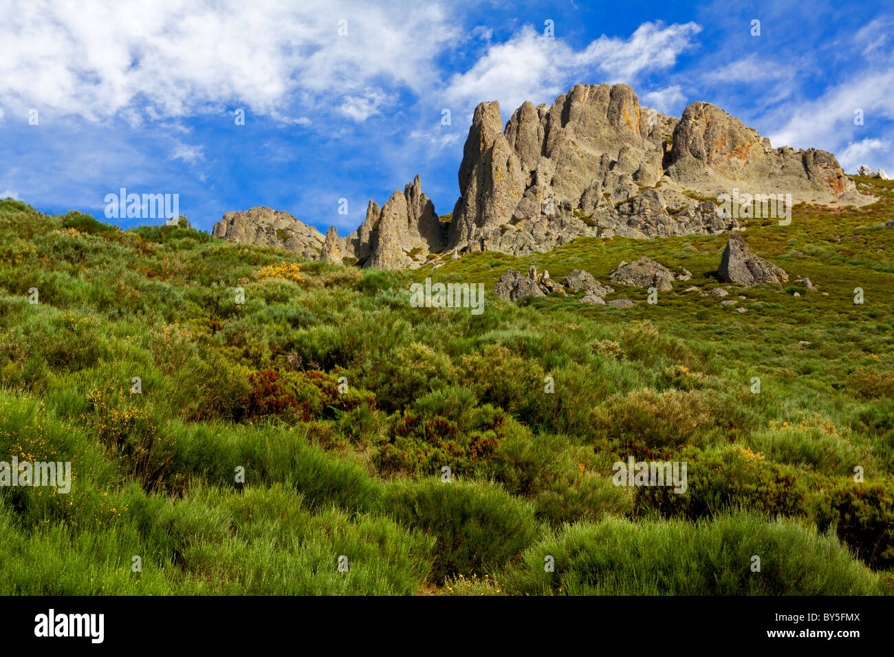 Limestock rocce nel Parco Nazionale Picos de Europa vicino a Vega de Liebana e Potes in Cantabria Spagna settentrionale Foto Stock
