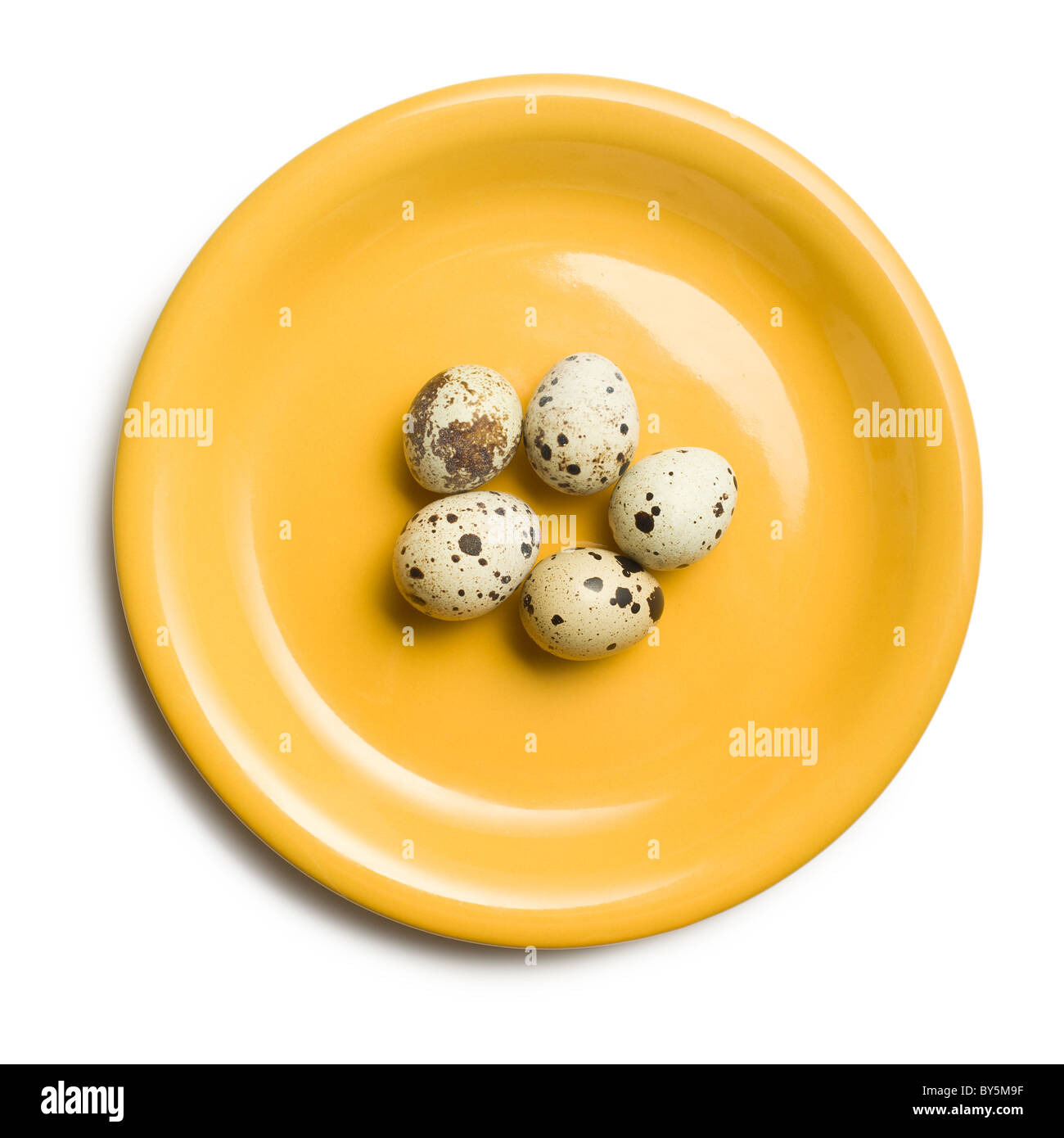 Le uova di quaglia su piastra di colore giallo Foto Stock