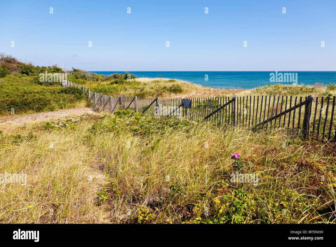 Picket Fence sul promontorio sopra luce Nauset Beach in Eastham, Massachusetts New England Foto Stock